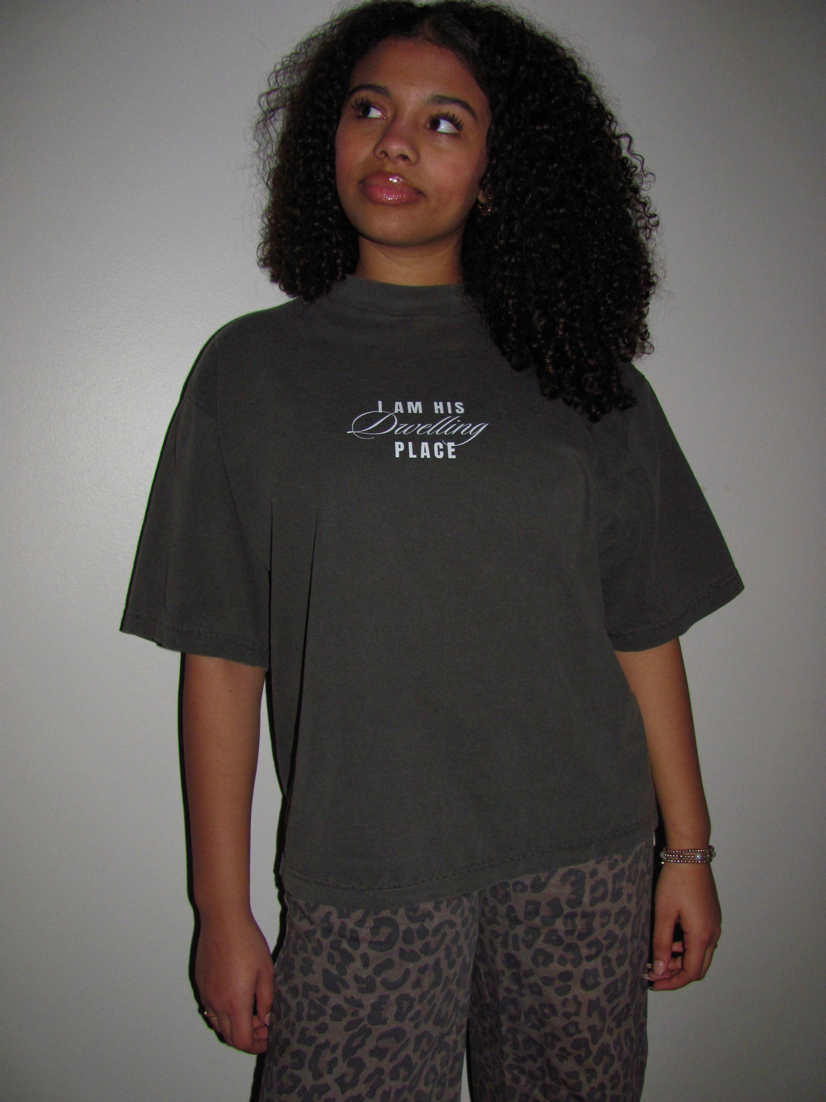 Dwelling Place Oversized tee